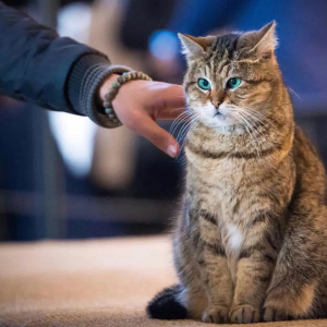 190013968_4690022187690871_1506052987460452061_n